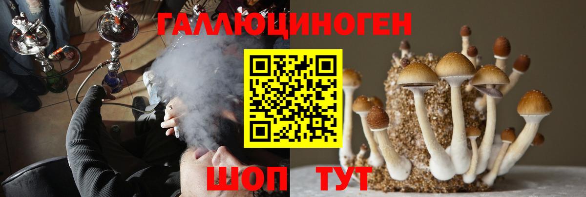 Галлюциногенные грибы Cubensis  Вход с VPN  Великий Устюг  Псилоцибиновые грибы Magic Shrooms 