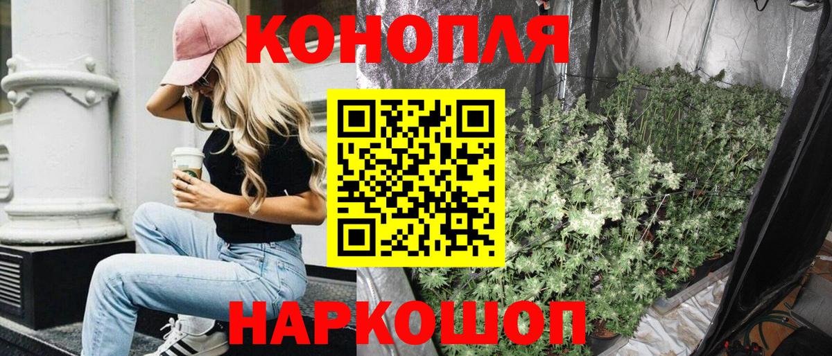 Марихуана SATIVA & INDICA Великий Устюг